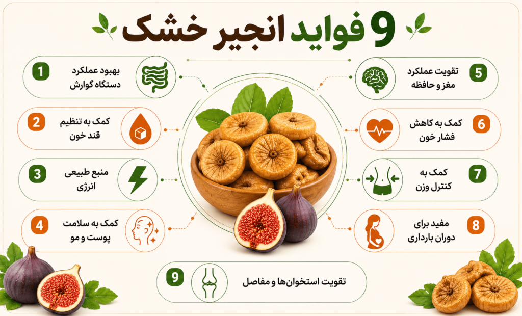 فواید انجیر خشک برای بدن