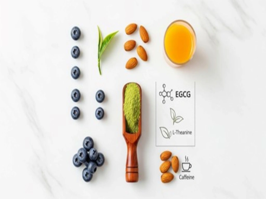 معرفی کامل ماچا