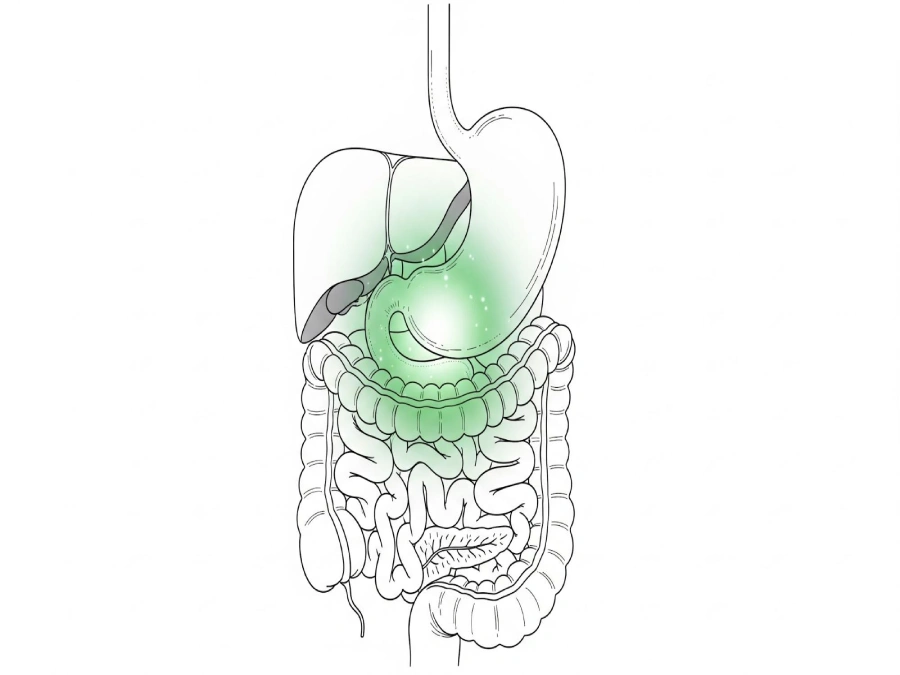 خواص چای بهار نارنج برای لاغری