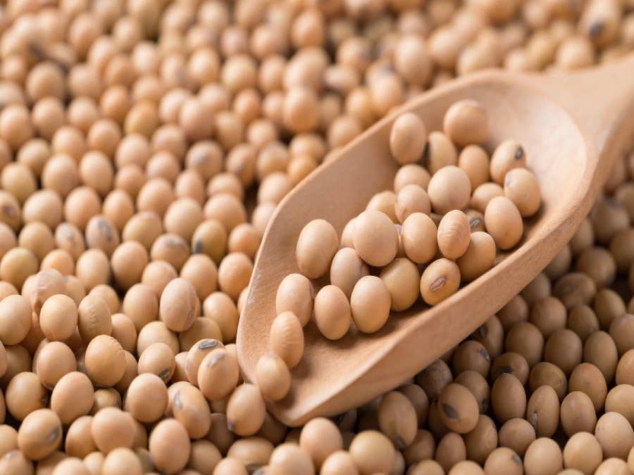 جدول ارزش غذایی سویا آجیلی