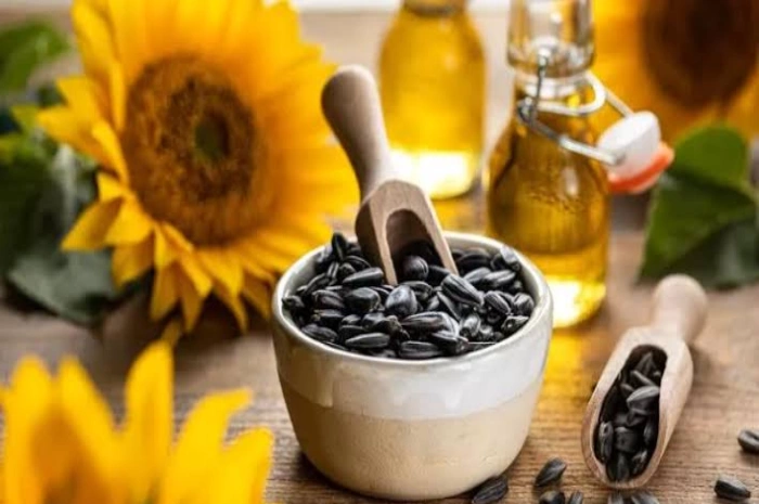 بهترین نوع تخمه آفتاب‌گردان کدام است؟