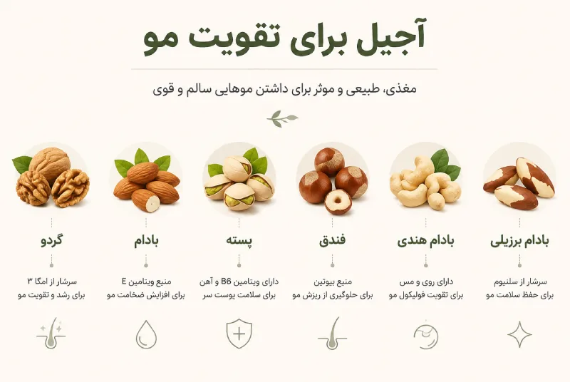 معرفی بهترین آجیل برای تقویت مو