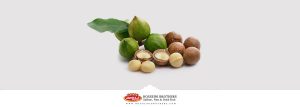 فواید ماکادمیا