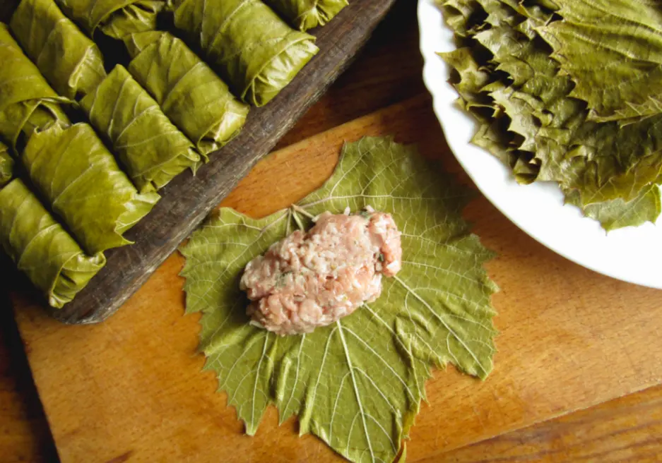 روش تهیه دلمه برگ مو